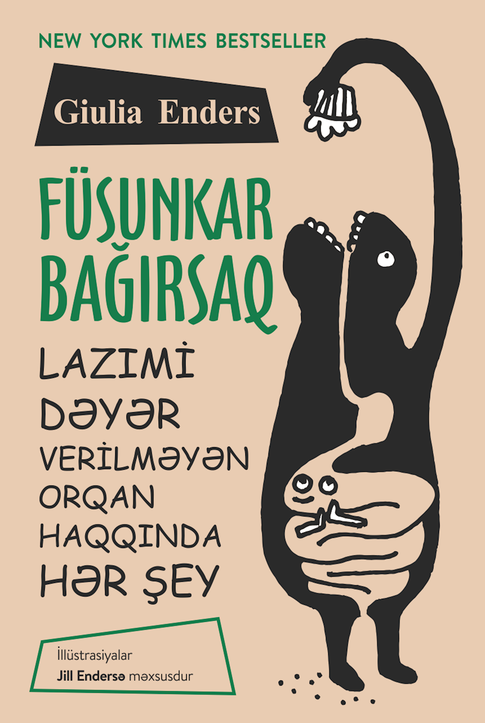 Füsnkar Bağırsaq (Lazımi Dəyər Verilməyən Orqan Haqqında Hər Şey)
