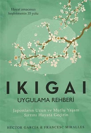 Ikigai - Uygulama Rehberi