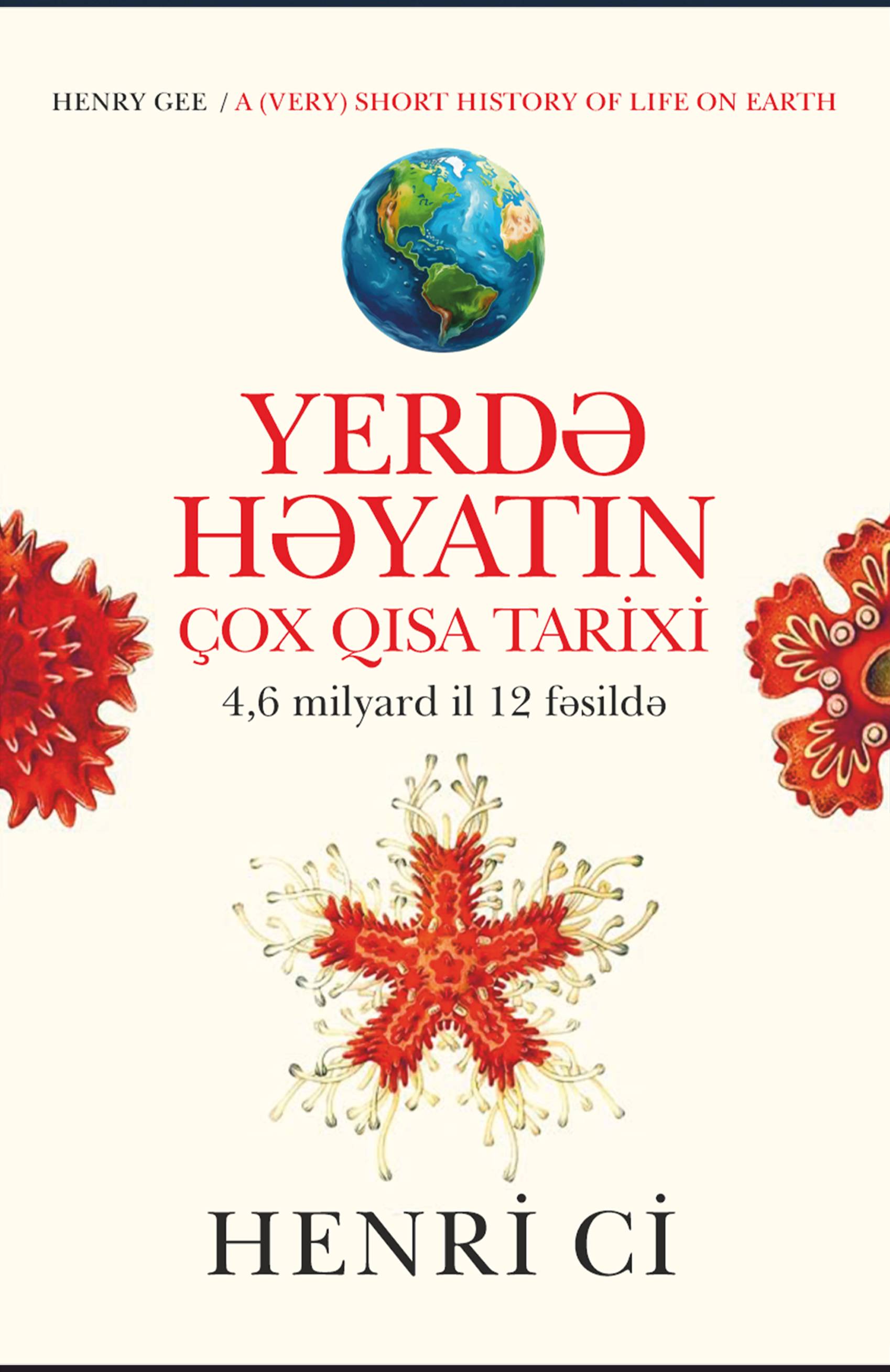 Yerdə həyatın çox qısa tarixi